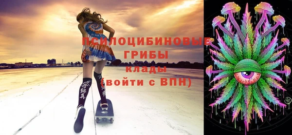 меф Арсеньев