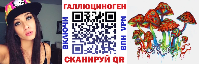 Псилоцибиновые грибы Psilocybine cubensis  Судогда 