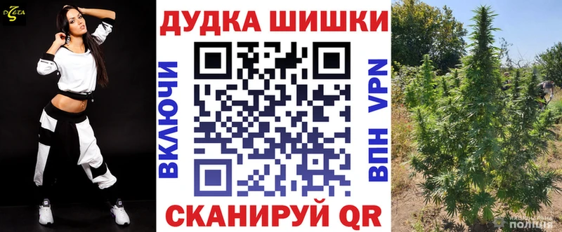 Каннабис сатива  как найти закладки  Судогда 